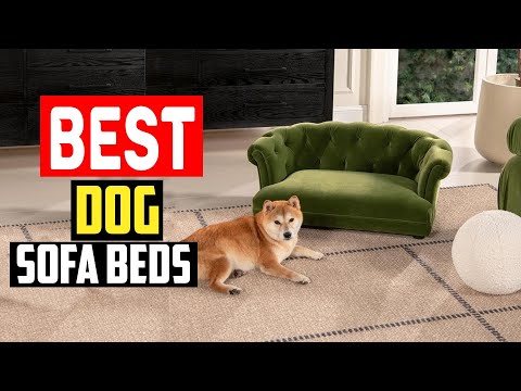 ✅Top 5 Best Dog Sofa Beds, So Your Dog Can Lounge Like People in 2024