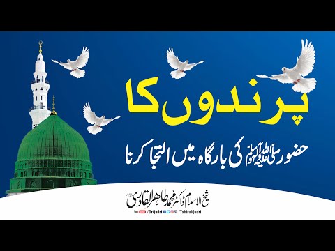 Parindon ki Huzoor ﷺ sy iltija | Dr Tahir-ul-Qadri