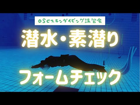 【2021 Mar 22】水深５ｍプールでスキンダイビングレッスン！東京辰巳国際水泳場のダイビングプールで開催した練習風景です