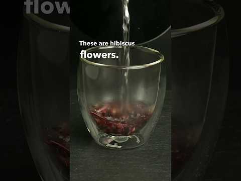 Why hibiscus isn’t a real tea 🌺 #hibiscus