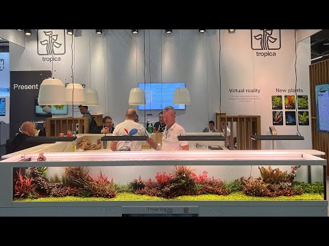 AMAZING AQUASCAPES AT INTERZOO 2024