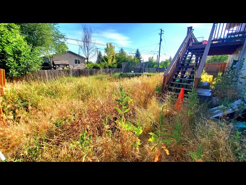 Disabled Woman INSULTED By Neighbor For Her OVERGROWN Yard