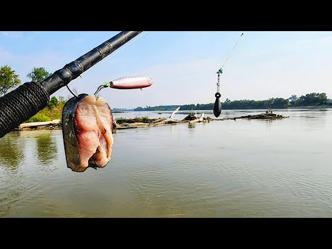 Catching DRAG RIPPING MONSTERS!! (Multiple River Giants)