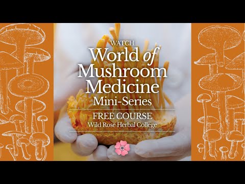 World of Mushroom Medicine video series