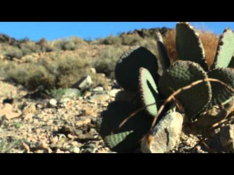 Fort Irwin Environmental Video Sample