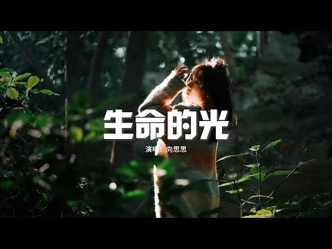 向思思 - 生命的光『孩子啊 我願是你生命的光，黑夜迷失方向 我不會踉蹌，未來的路 就算很遠很長，家永遠是你的港灣。』【動態歌詞MV】