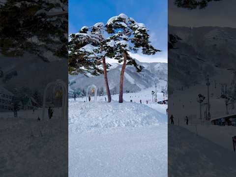 日本白馬村五龍滑雪場Golong Ski Resort in Hakuba Village, Japan #Hakuba GORYU#Japan#日本#白马#五龙#滑雪场