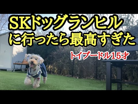 SKドックランヒルが最高すぎた！歯の抜歯について悩んでます