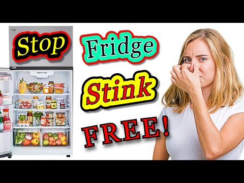 Unbelievable Fridge Odor Solution - No Cost, No Chemicals!