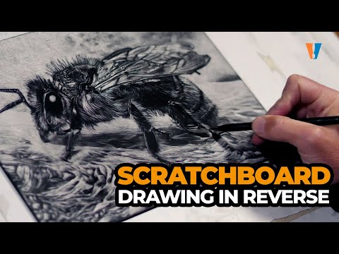 Scratchboard - Drawing in Reverse