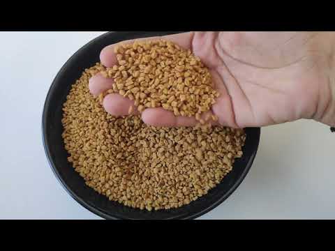 Fenugreek Seeds | Methidana | Methi | Raja Rani Spices | Raja Rani Fenugreek Seeds | Whole Spices