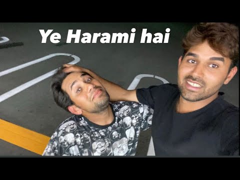 Is Harami ki wajah se mera Sara kaam kharab ho gya 🥲#japan#urdu#comedy