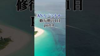 ANAプラチナ修行 part4【宮古タッチ】#shorts #airlines #sfc #マイル