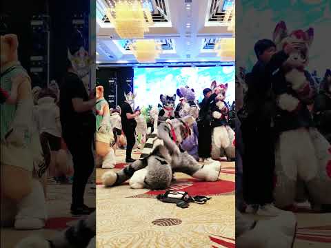 #Dance #shikanokonokonokokoshitantan at the #furrycon #furryconvention  #shikanoko #animedance