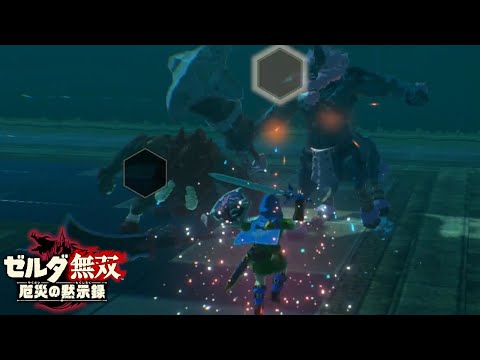 1300時間プレイした男の獣神の雄叫び【ゼルダ無双 厄災の黙示録】【Hyrule Warriors】