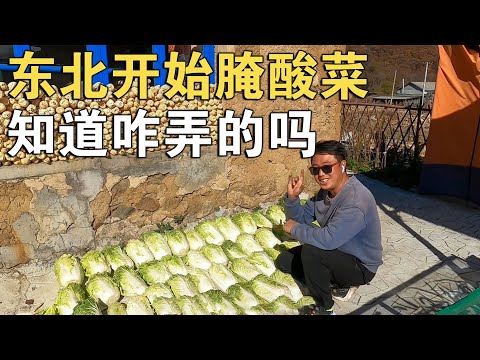 东北酸菜很多人都吃过，但你们知道它是怎么腌制的吗？一起看看吧【环华行913】