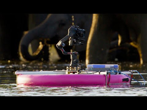 The Adventures of Floaty McFloatface: a DIY Inflatable Remote-Controlled Wildlife Filmmaking Boat