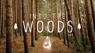 Into The Woods 🌲 - A Mysterious Indie/Folk/Pop Playlist | Vol. 2