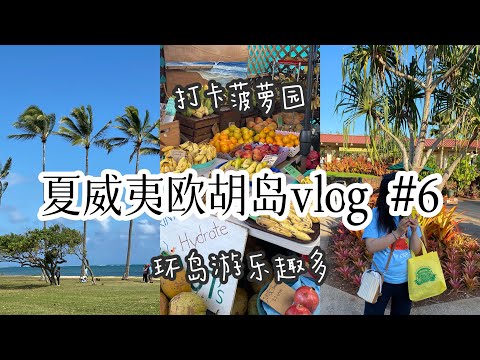 夏威夷欧胡岛旅行攻略vlog #6 Circle Island Tour环岛游 ｜看欧胡岛北岸风景 打卡网红菠萝园Dole Pineapple Plantation ｜Oahu Hawaii Trip