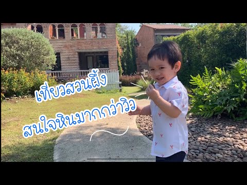 Latoscana สวนผึ้ง ราชบุรี เที่ยวกับชินเค้า part2/2 | พาลูกเที่ยวสวนผึ้ง EP22