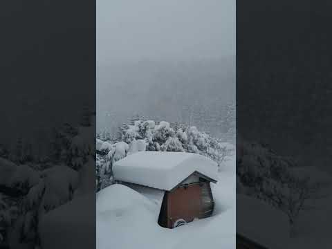 白川郷の雪、ちょっと降ったなぁ