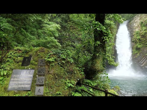 ◎天城超え 石川さゆり 浄蓮の滝【一心同体】20230530 伊豆の踊子と蛍の夕べ