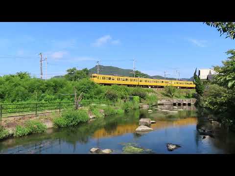 【福塩線～スッポン～鴨親子～カワセミ夏スペシャル】✨