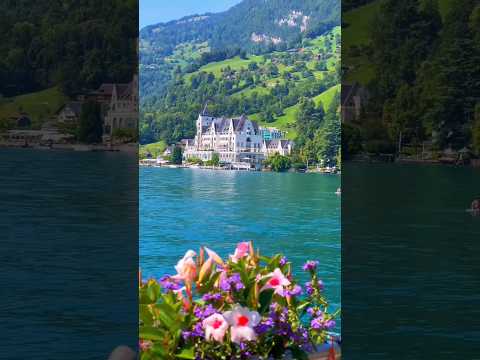 Switzerland Highlights🇨🇭🇨🇭 #swiss #switzerland #shorts #reels #wow #travel #fypシ゚viral #fyp#fy#alps