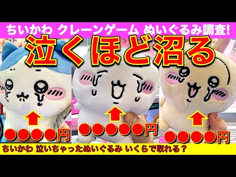 【鬼ヤバ設定に注意】ちいかわクレーンゲーム 最新プライズ！　泣いちゃったぬいぐるみ　獲得まで幾らかかった？　4店舗調査！今回はマジで気をつけて！！【UFOキャッチャー／GiGO／M E TOKYO】