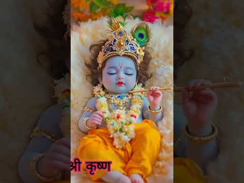 जय कन्हैया लाल की🌺 #shortvideo #krishnastatus