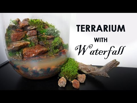 Making A Beginner Terrarium With A Working Waterfall