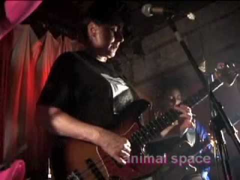 The slits- Animal Spaces