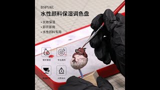 DSPIAE MP-01 PRO 水性油調色濕盤專業版 官方介紹短片