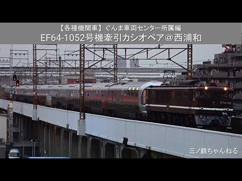 【機関車各種】ぐんま車両センタ－所属編　EF64-1052号機牽引カシオペア@西浦和（2020年17時18分）