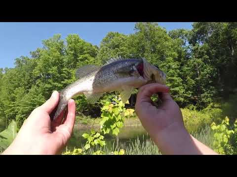 CATCHING SOME SPRING BASS!! (Dirtbike Fail)