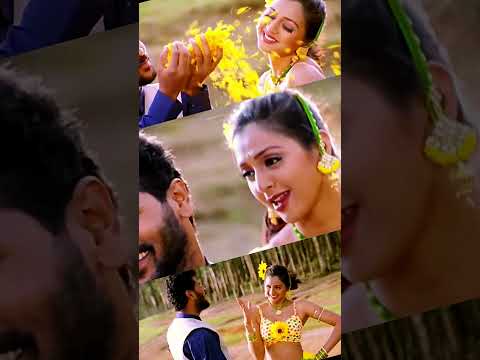 Manja Kaattu Maina song WhatsApp status | Manadhai Thirudivittai movie songs| Prabhu Deva | Kausalya