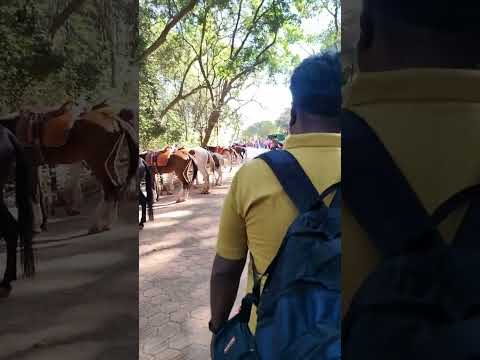 Matheran Maharashtra | Matheran Tourist Places #shorts