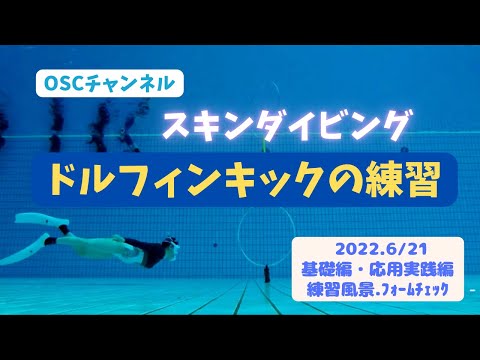 ドルフィンキックの練習あり！ライセンス取得コースへのステップアップ！OSCスキンダイビング講習会（基礎編・応用実践編）の練習風景（フォームチェック動画） in 東京辰巳国際水泳場