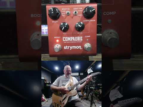 Dave Grohl 335 Clean Amp Strymon Compadre mid boost