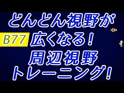 【Daily Eye Training】目指せアスリート！動体視力/周辺視野UP！vol.077