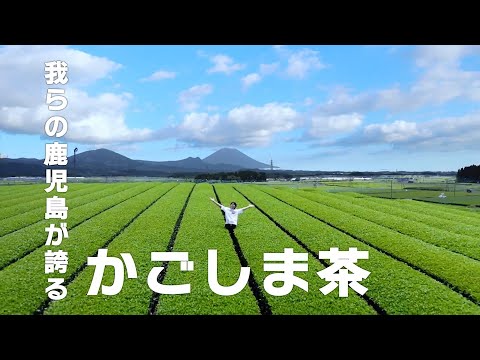 「かごしま茶」PR動画（インフルエンサーver.）