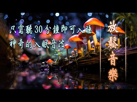 【100%無廣告】睡眠音樂 - 輕音樂 放鬆 - 從嚴重的睡眠不足中睡個好覺