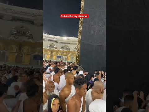 masjid haram Pak #youtubeshorts #shorts #pigeon #pigeonbreeds #millionviews #pigeontypes #funnyreel