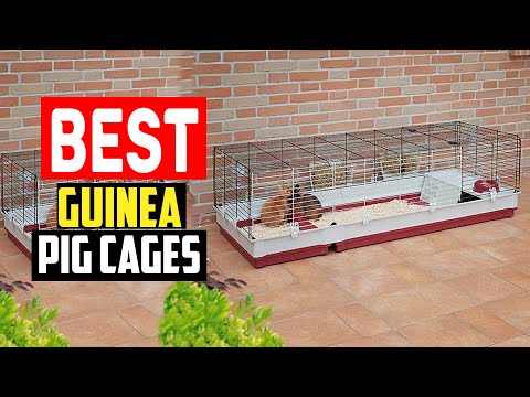 ✅The 8 Best Guinea Pig Cages of 2023