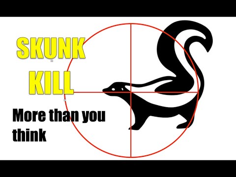 Thermal Necessity: Skunk Kill Debrief!