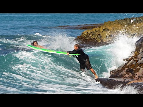 Mason Ho Brings Baby Bear Surfing