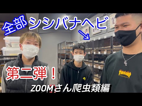 神戸zoomさん訪問！　- 爬虫類編 -