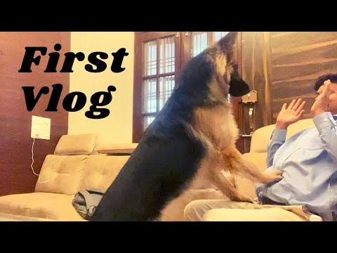 my first vlog