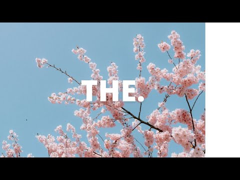 【playlist】最高に気持ちいい、春の訪れを感じる曲集めました。｜THE. music