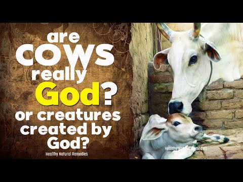 Are cows really God? Kamdhenu Cow | Why Hindus worship Cow? Gau pujan, गौमाता पूजन, गौ पूजा